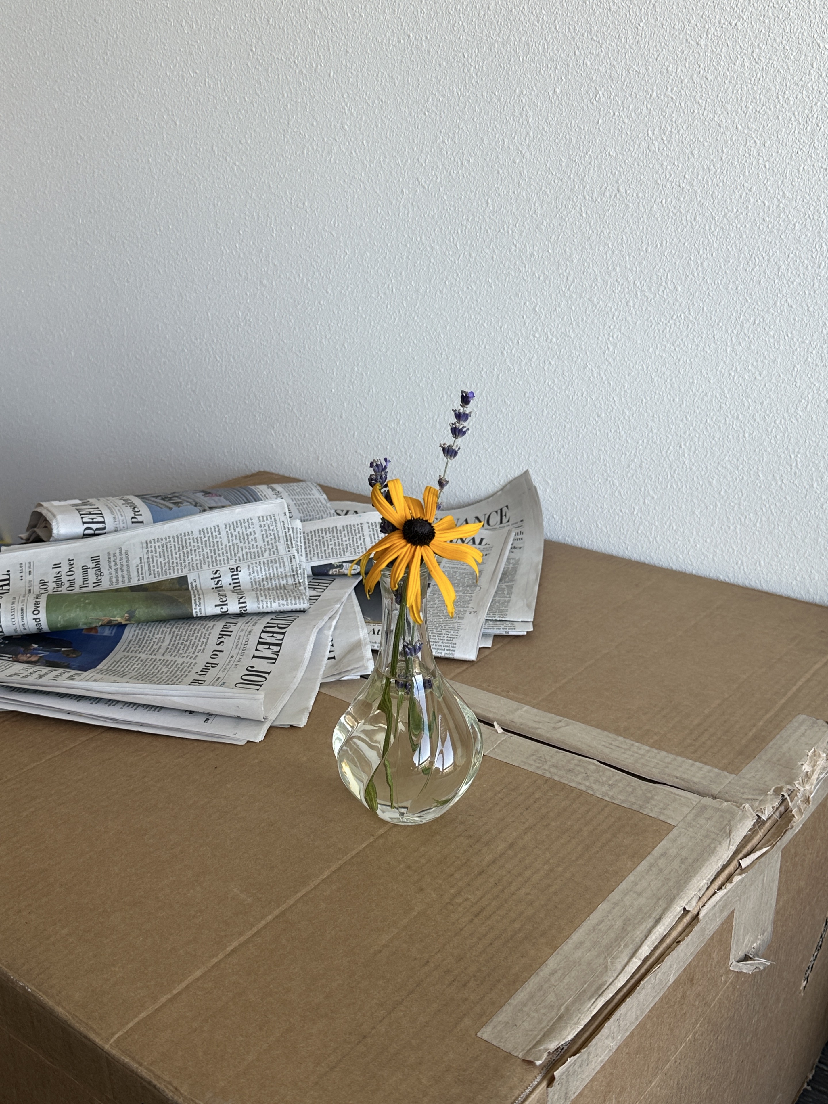 A small yellow flower in a glass vase beside folded newspapers.