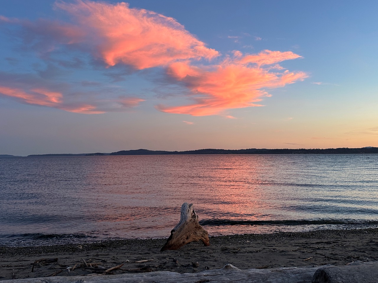 Pink sunset clouds over calm water and a dark shoreline.